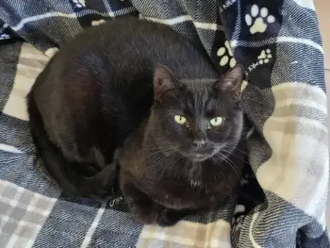 Felix photo 2