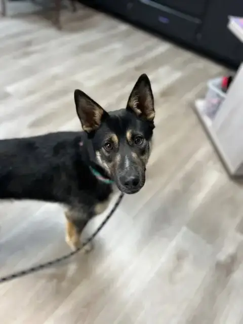 Jax