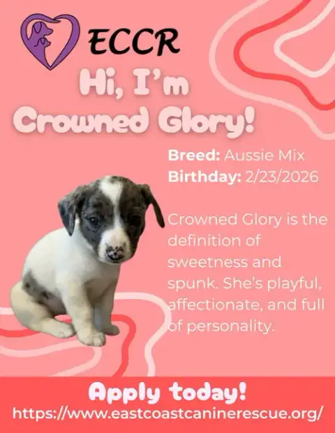 Crowned Glory photo 3