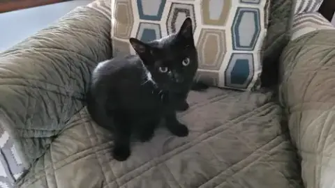 Kiki photo 2