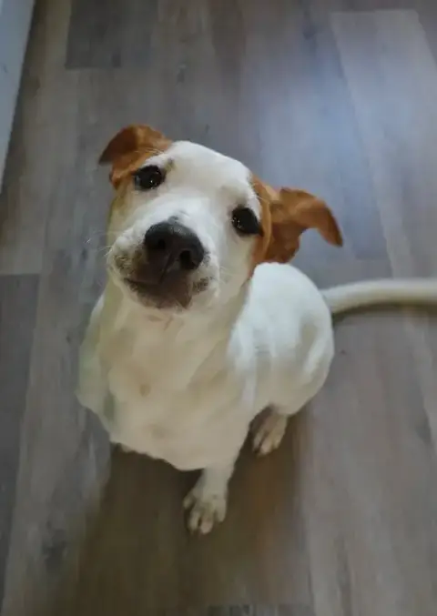 Maisie photo 5