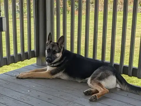 Ruby Mae photo 4