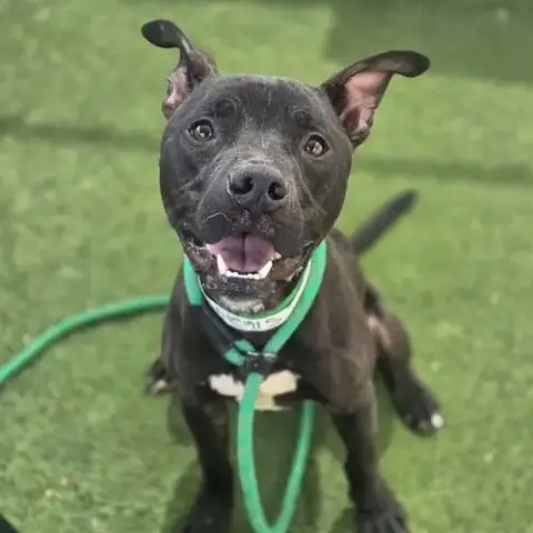 Max