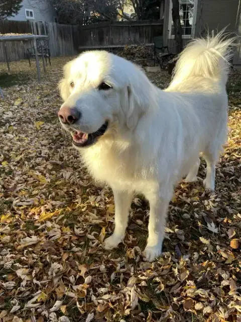 Maggie photo 2