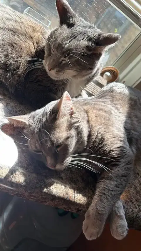 Max photo 2