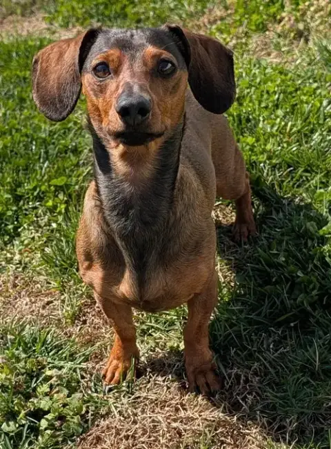 Frankie In Tn photo 4