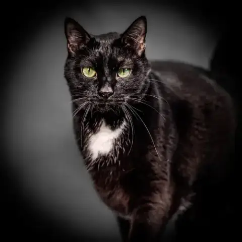 Edgar photo 2