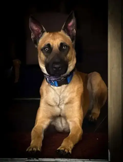 Loki