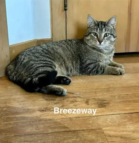 Breezeway photo 4