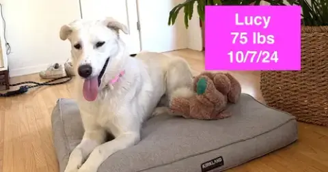 Lucy