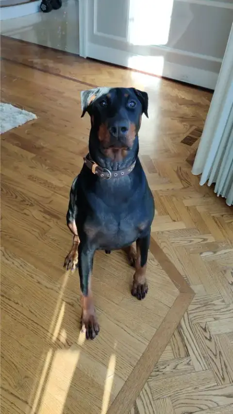 Zeus photo 2
