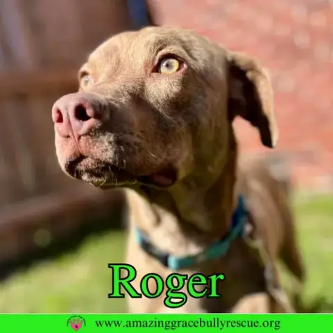 Roger photo 3