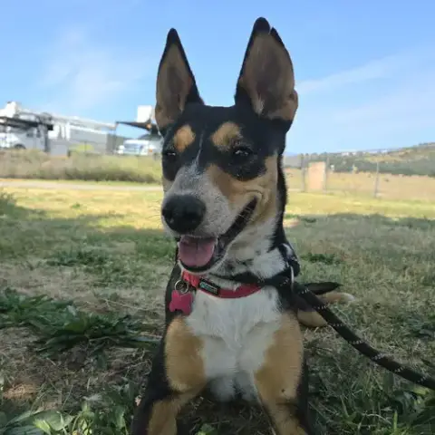 Janie photo 5
