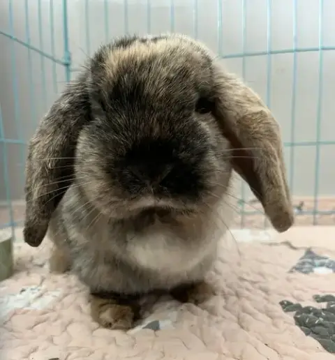 Eleanor