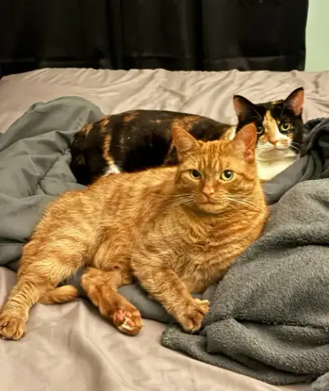 Nala & Squish