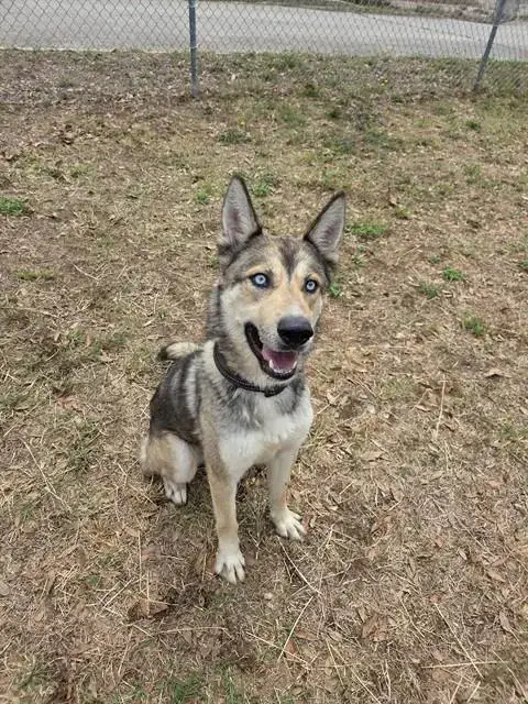 Zeus