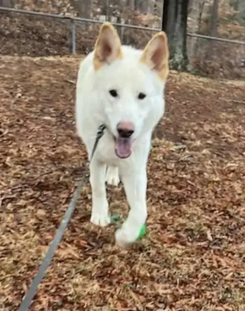Coco