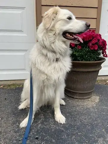 Sadie In Nh(Sponsored!) photo 4