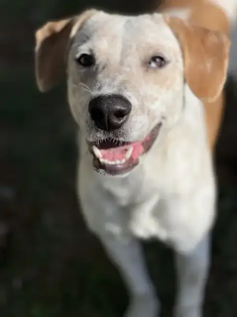 Tanner photo 2