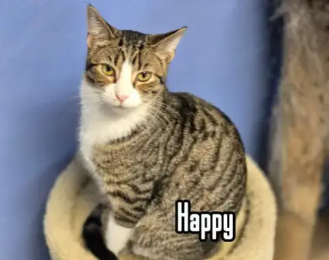 Happy photo 4