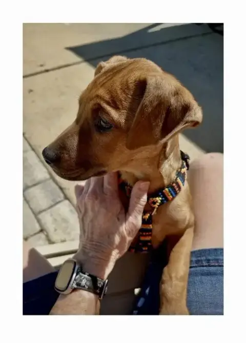 Ellie photo 3