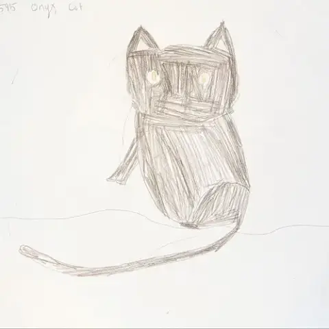 Onyx photo 4