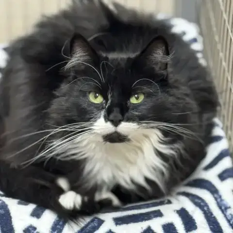 Luna photo 3