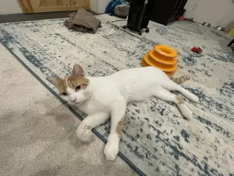 Gus photo 2