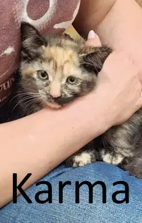 Karma photo 5