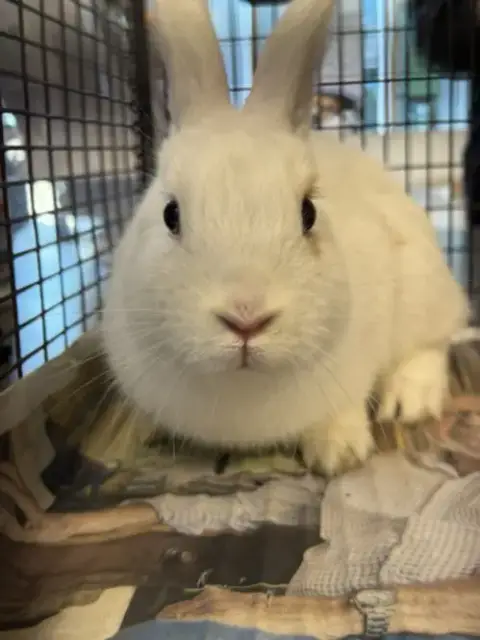 Billy