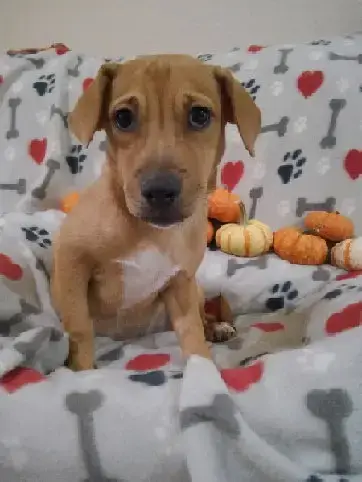 Lilly photo 3