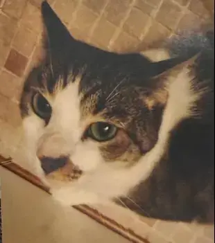 Lucy