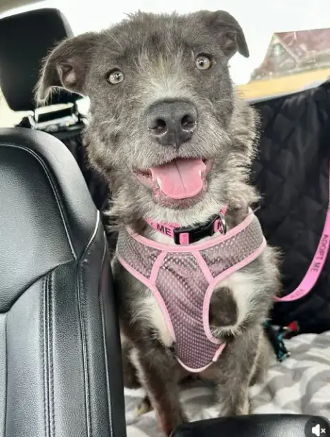 Holly photo 3
