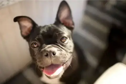 Bebe photo 3