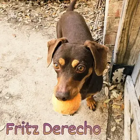 Fritz Derecho photo 2