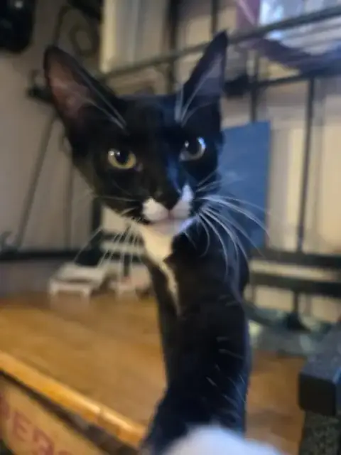 Megan