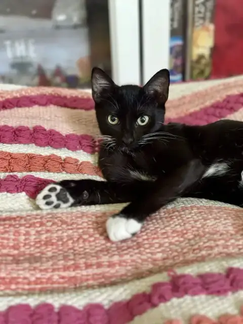 Eleanor