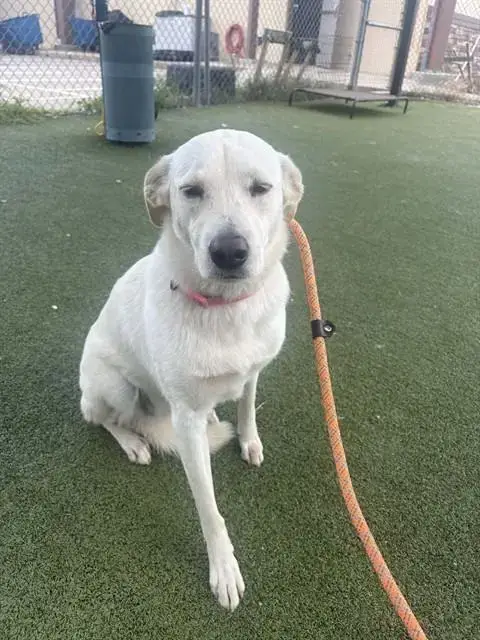 Zoe