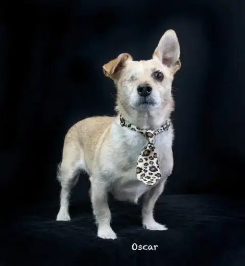 Oscar