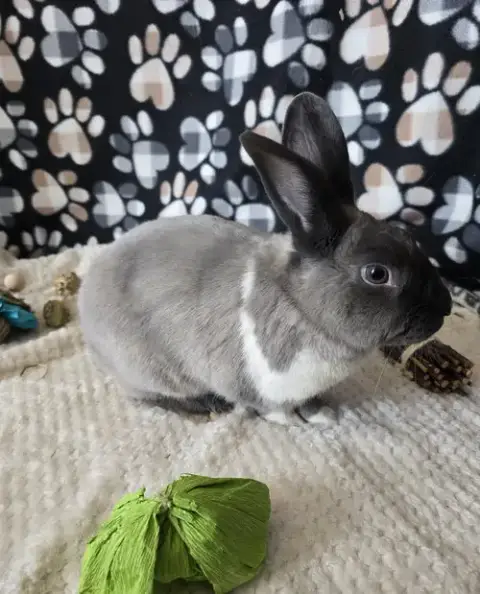Danny photo 2