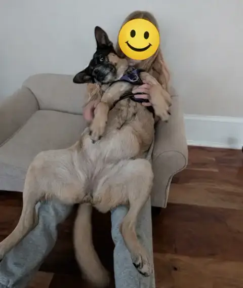 Luna photo 4