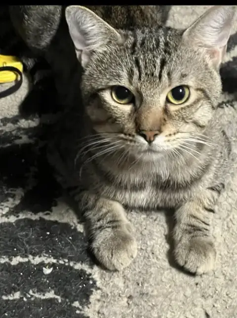 Margot photo 3