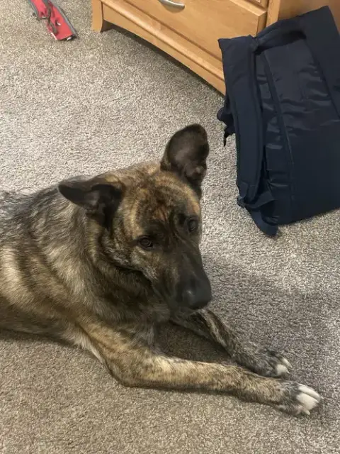 Julius photo 5