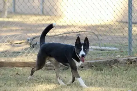 Monty photo 2