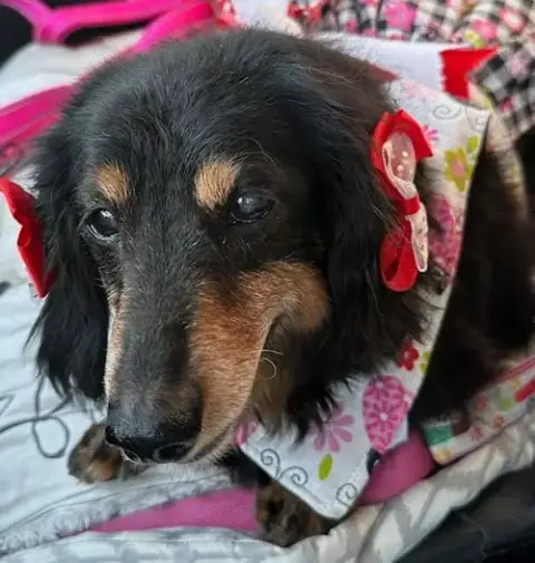 Mimi photo 3
