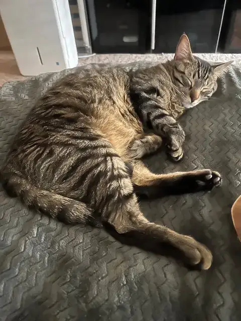 Max