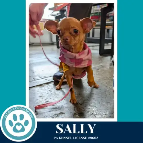 Sally 041826 photo 3