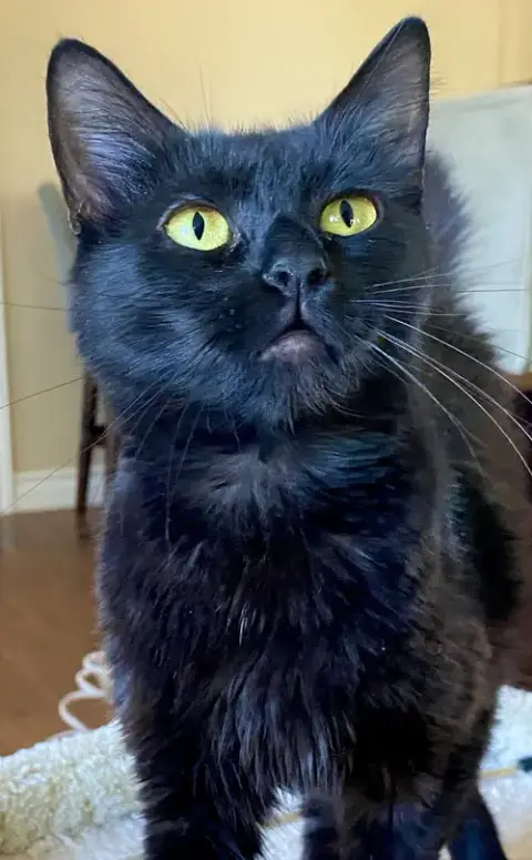 Mama