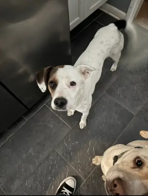 Zoe Aka Dottie