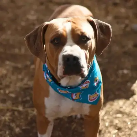 Jax